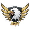 Squad of the Golden Wings