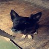 Für_Filou