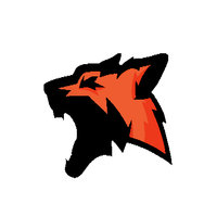 Fuchsaim Esports
